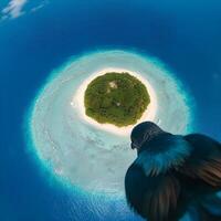 A bird is flying over an island with a small island in the middle photo