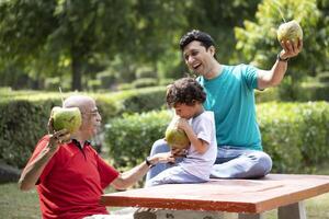 Son Drinking Coconut Water With Straw Along Father And Grandfather photo