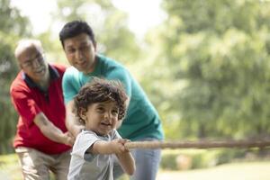 Son Daddy Grandpa Playing Tug Of War In Park photo