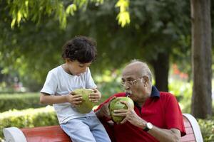 Grandfather And Grandchild Enjoying While Drinking Tender Coconut Water With A Straw photo