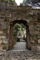stone arch spans tranquil, tree-lined path. Sunlight filters gently through dense foliage, creating serene and inviting woodland atmosphere photo