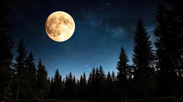 A full moon is seen over a forest photo