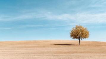 A lone tree stands alone in a field photo