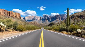 A road in the desert with cactus and mountains photo