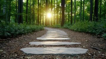 Stepping stones in the forest photo