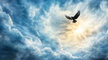 A bird flying through the clouds with the sun shining through photo