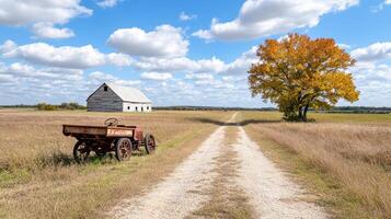 A dirt road with a farm house and a tree photo