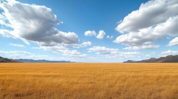 A large field with tall grass and clouds photo
