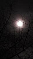 Clouds pass at night against the background of the moon. video