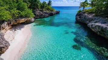 Beautiful beach in the caribbean island of caribbean, jamaica, car photo