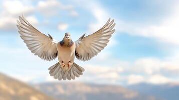 A white bird flying in the air with its wings spread photo