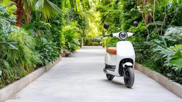 A white scooter parked in a lush green garden photo