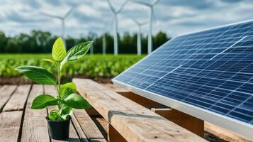 Solar panels and wind turbines in a field photo