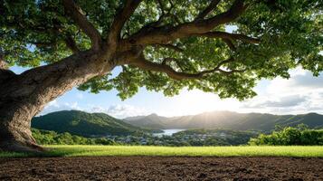 A tree with a view of the mountains and a lake photo