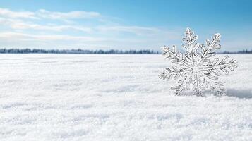A snowflake is sitting in the middle of a field photo