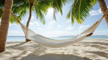 A hammock on a tropical beach with palm trees photo