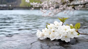 A bunch of white flowers on a rock near a body of water photo