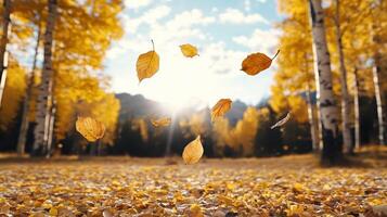 Autumn leaves falling in the air in front of a forest photo