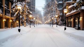 A snowy street lined with trees and lights photo