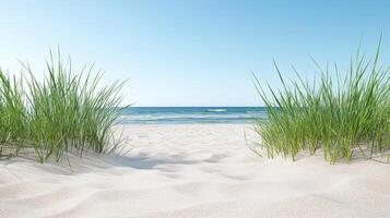 Beach with grass and sand dunes on a sunny day photo