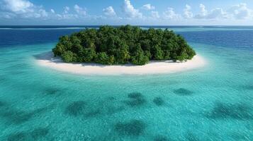 An island in the middle of the ocean with trees photo