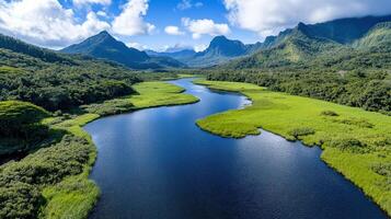 The beautiful landscape of the tropical island of maui photo
