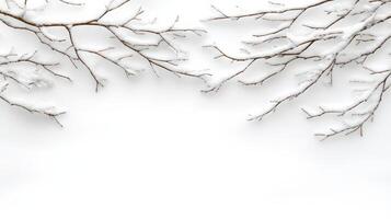 Winter background with branches covered in snow photo
