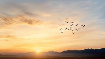 A flock of birds flying over a mountain range at sunset photo