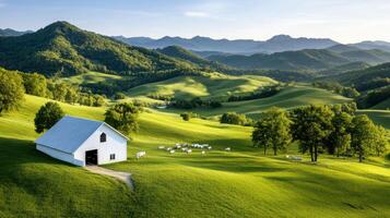 A white house on a green hillside photo