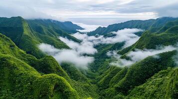 The green mountains of kauai are surrounded by clouds photo