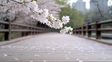 A bridge with cherry blossoms on it photo