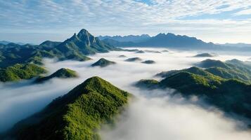 The mountains are covered in fog and green trees photo