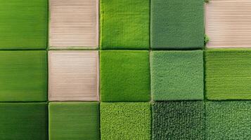 A green field with squares of grass photo
