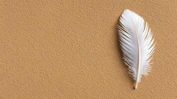 White feather on brown background photo