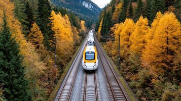 A train traveling through the forest with yellow and white trees photo