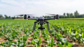 Drone in a field of corn photo