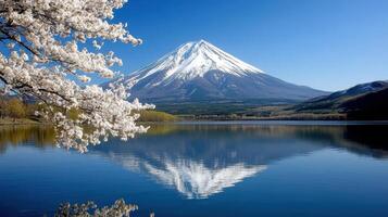 Mount fuji, japan, spring, cherry blossoms, lake, reflection, spring, photo