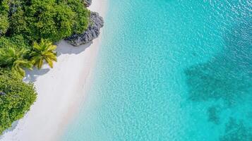 Aerial view of tropical beach with palm trees and turquoise water photo