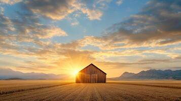 A barn in the middle of a field at sunset photo