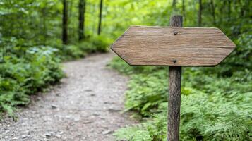A wooden sign pointing to a trail in the woods photo