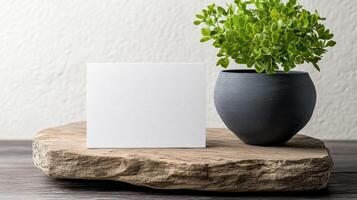 Blank card on a wooden table with a plant photo