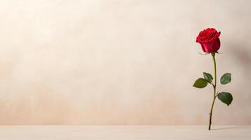 Single red rose on a wooden table with copy space photo