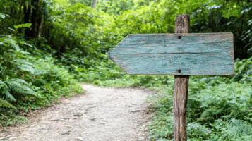 A wooden sign pointing to a path in the forest photo