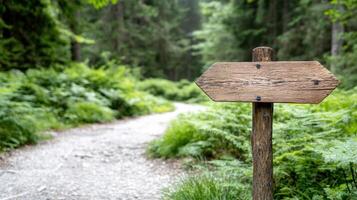 A wooden sign pointing to a path in the woods photo