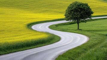 A winding road with a tree and yellow flowers photo