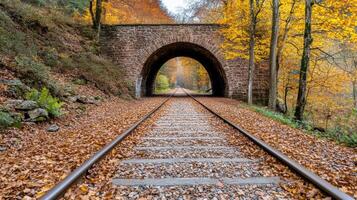 A train track going through a tunnel in the woods photo