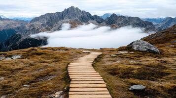 A wooden path leading to the top of a mountain photo