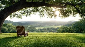 A wooden chair sitting under a tree in a field photo