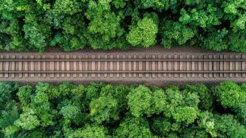 An aerial view of a train track surrounded by trees photo