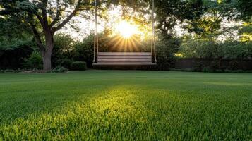 A swing hanging in the middle of a grassy field photo